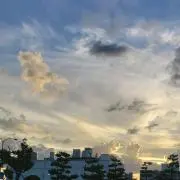 はるる@断捨離中の画像