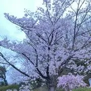 近藤