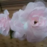 ハナコ