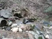 石