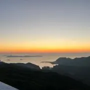 ルルの画像