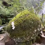 おやすみ