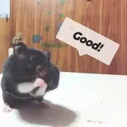 TOSI