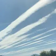 しまっちの画像