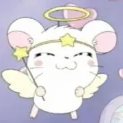 ໒꒱· ゜プロフ必読の画像