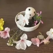 もんの画像