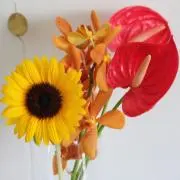 mamimumemoの画像