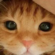 you