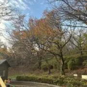 いかさんの画像