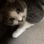 ピンキー