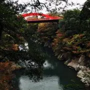 N5の画像