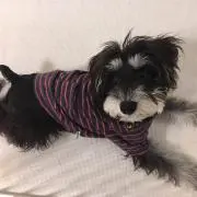 あん☆