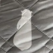 くまの画像