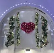 sanの画像