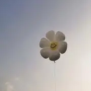 kikiの画像