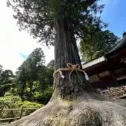 miwaミワの画像