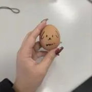 ゆでたまごの画像