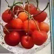 チェリー★フォロー割引あり★