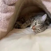 みっち