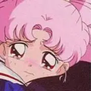 うさぎの画像