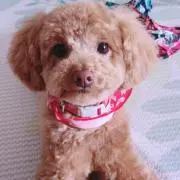 KAORI1130の画像