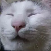 hiroyasu