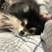 mana