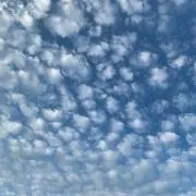 わたぐもの画像