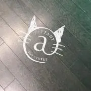 チュウリップの画像