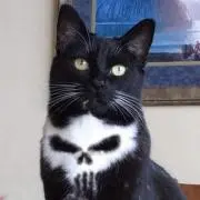 みや
