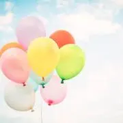 Monsteraの画像