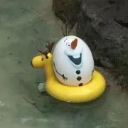 ケネディⅣ世の画像
