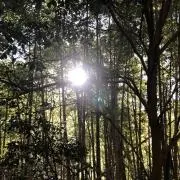 ミルの画像