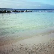 R・wmmの画像