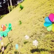 しおりの画像