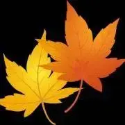 Autumnの画像