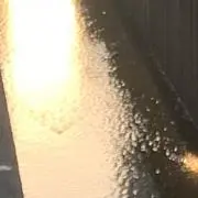 AAC.442
