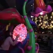 y_krmの画像