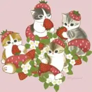 ひろまるの画像