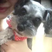 リヤン