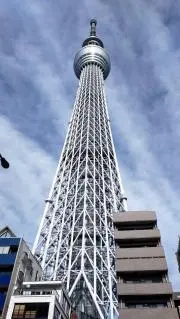 ♡ティンカーベル♡の画像
