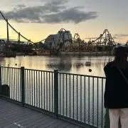 あんずの画像