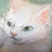 mamiの画像
