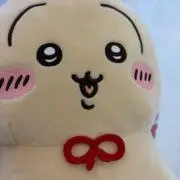 モリゾーの画像