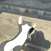 nanaの画像