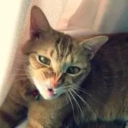 aym5の画像