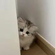 断捨離！断捨離！断捨離！の画像