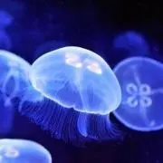 ままま