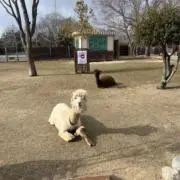 あきの画像