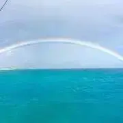 maaaの画像